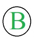 Бусины с буквами разноцветными B